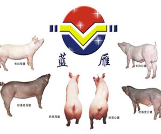 四川省乐山牧源种畜科技有限公司